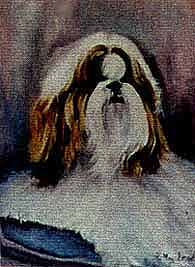 SHIHTZU-5.jpg (11880 bytes)