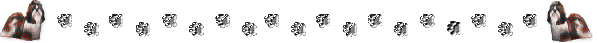 lnpawst.gif (6654 bytes)