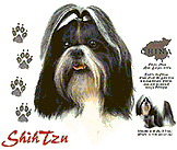 shihtzuWS.gif (8048 bytes)